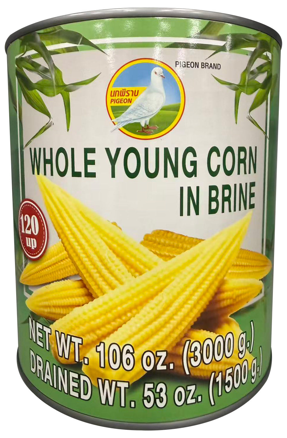 YOUNG BB CORN 120up PIGEON A10 | 6 x 5lb