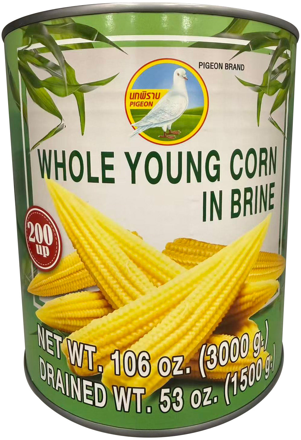 YOUNG BB CORN 200up PIGEON A10 | 6 x 5lb