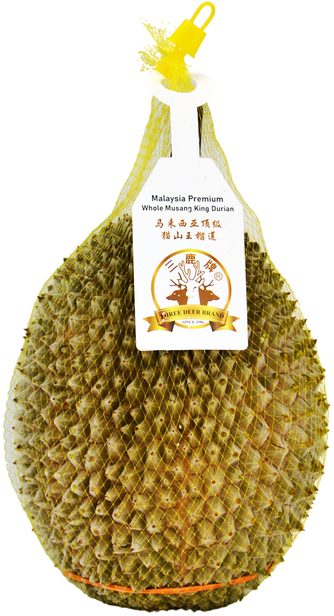 FRZ PRM MSK DURIAN D197(B) | 1 x 26.4lb